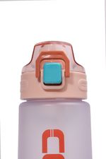 BOTELLA-PLASTICA-CON-TAPA-DE-ROSCA-DE-800ML.TR825_001822_2