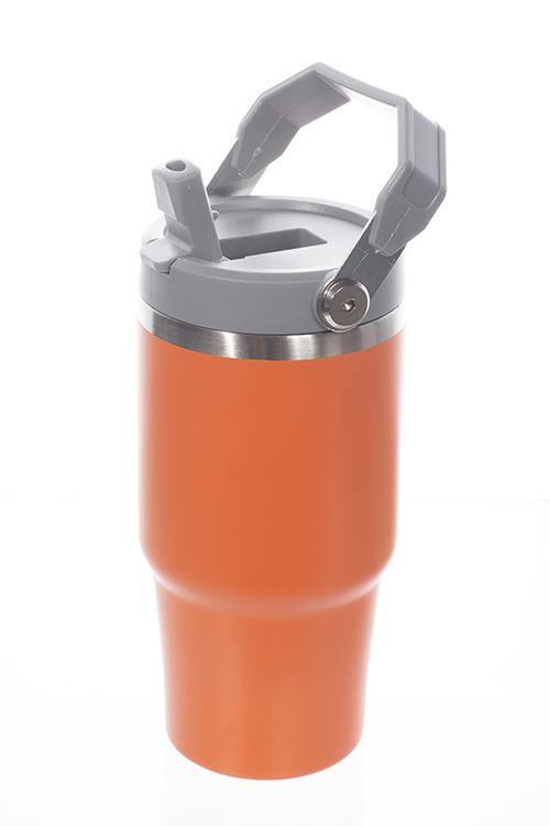 Termo portátil de 600ml