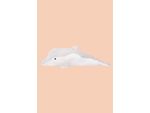 PELUCHE-ALMOHADA-DE-DELFIN-90CM.JF091_000006_1.jpeg
