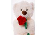 PELUCHE-DE-OSO-CON-FLOR-20CM.JP663_000003_3