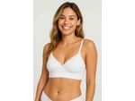BRASIER-MATERNO-INDIVIDUAL-TIPO-SEAMLESS.PL01-040M_000002_0