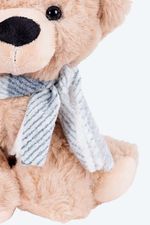 PELUCHE-PEQUENO-CON-DISENO-DE-OSO.FJP021_000005_4