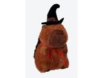 PELUCHE-DE-UN-CAPIBARA-BRUJA.FJP027_000134_1