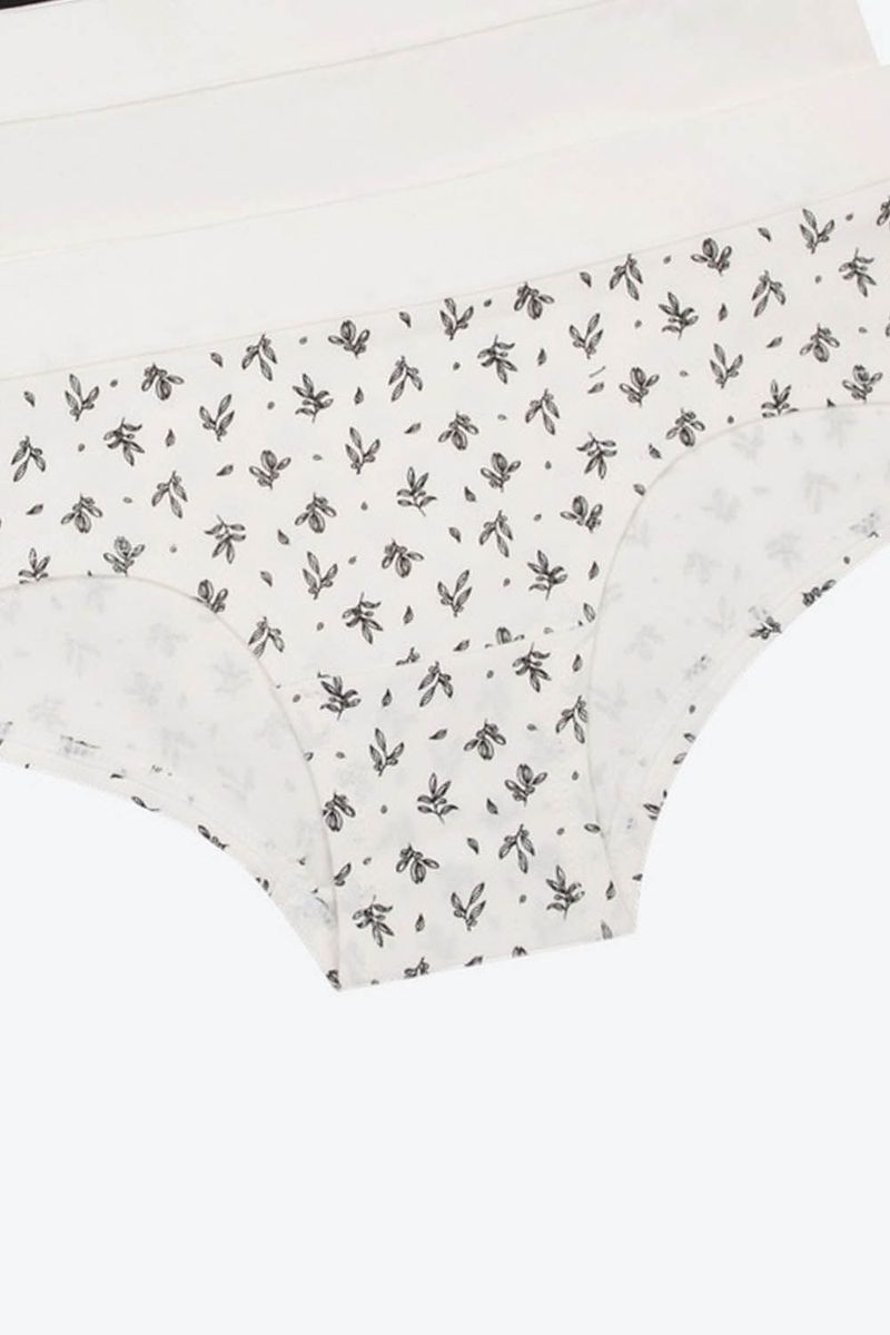 PANTY-HIPSTER-EN-ALGODON-PAQUETE-X3.B304B_010397_3