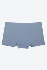 PANTY-BOXER-EN-MICROFIBRA-PAQUETE-X5.MJ258-003_AA6284_2