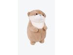 PELUCHE-PEQUENO-CON-DISENO-DE-NUTRIA.FJP002_000005_2