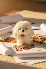 PELUCHE-PEQUENO-CON-DISENO-DE-PERRO.JP702_02