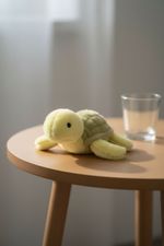 FJP015 PELUCHES TURTLE, VRML, TU-01