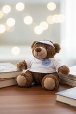 FJP006 PELUCHE BEAR MODA_02