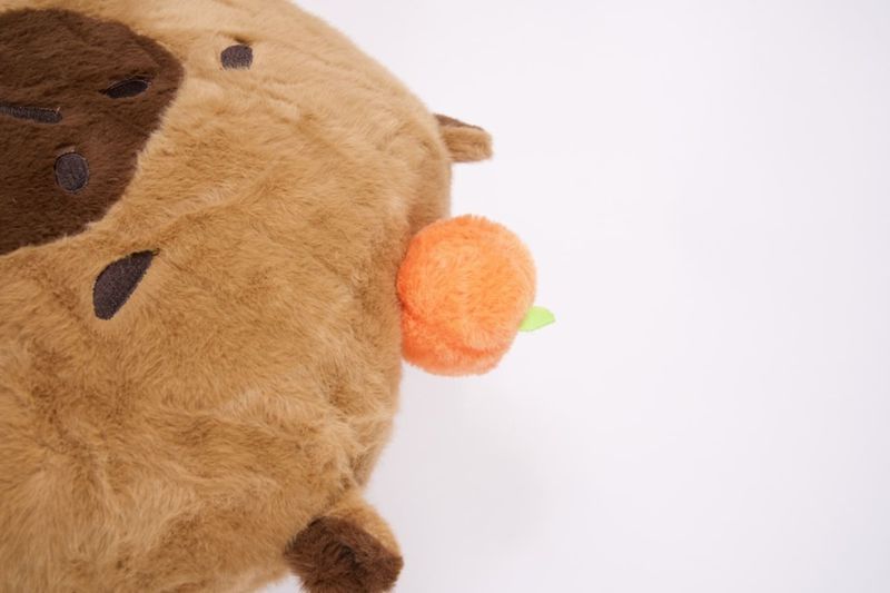 COJIN-CON-DISENO-DE-CAPIBARA.FJP036_000034_3